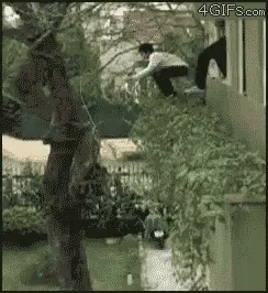 jump-jumping-to-the-tree.gif