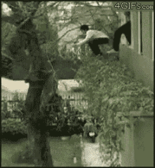 Jump Jumping To The Tree GIF - Jump Jumping To The Tree Reckless GIFs