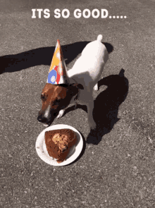 Yummy Cake GIF - Yummy Cake Dog GIFs