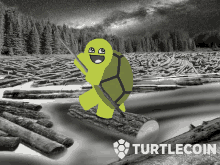 Turtlecoin Logger GIF