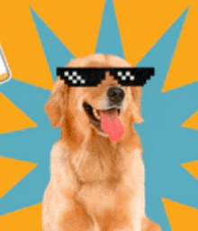 a dog wearing sunglasses with a pink tongue sticking out .