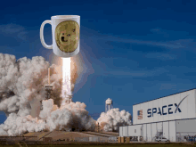 Spacex Doge GIF - Spacex Doge Coffee GIFs