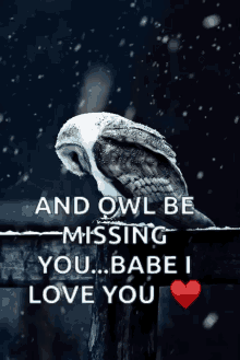 owl snow winter ill be missing you