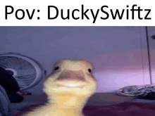Ducky Swiftzpov GIF - Ducky Swiftzpov GIFs
