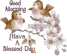 Birds Good Morning GIF - Birds Good Morning Have A Great Day GIFs