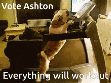 a picture of a dog on a treadmill with the words vote ashton everything will workout
