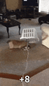 a dog is standing next to a laundry basket in a living room with a staircase .