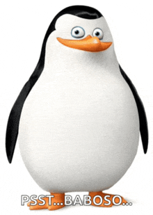 a penguin with the words psst baboso written on the bottom