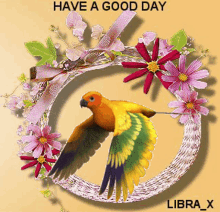 Good Day Have A Good Day GIF - Good Day Have A Good Day Bird GIFs