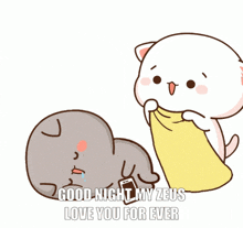 a cartoon of a cat saying " good night my zeus love you for ever "