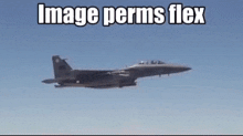 F-15 Image Perms GIF - F-15 Image Perms Fighter Jet GIFs