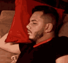 santo pato melao gif sp santo pato melao gif sp