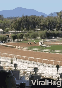 Horses Tumble At The Turn Race GIF - Horses Tumble At The Turn Horses Race GIFs