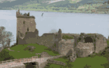 Girraffe Loch GIF - Girraffe Loch Ness GIFs