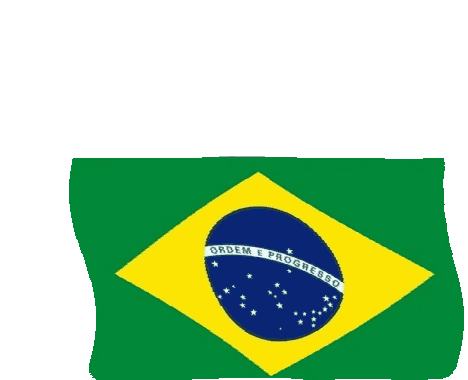 Brazil Brazilian Flag Bandera do Brasil Brasileira Gift Tank Top