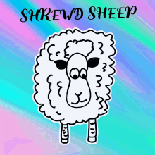clever sheep