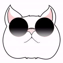 cat kitty white lovely sunglasses