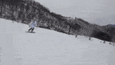 Frieren Skiing GIF - Frieren Skiing Ski GIFs