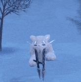 a polar bear is holding a sword in its mouth in a snowy area .