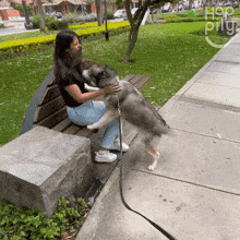Play With A Dog Happily GIF - Play With A Dog Happily Interact With A Dog GIFs