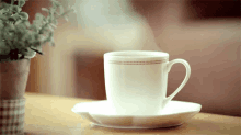 coffee cup steam
