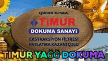 Timnur GIF