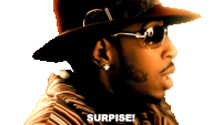 Surprise Ludacris Sticker - Surprise Ludacris Number One Spot Song Stickers