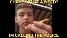 911 chris is that a weed a weed chris im calling the police