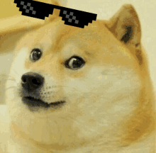 Doge Deal With It GIF - Doge Deal With It Too Bad GIFs