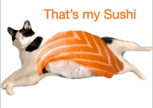 Sushi Cat GIF - Sushi Cat Roll GIFs