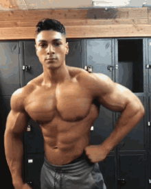 Bodybuilding Muscles GIF - Bodybuilding Muscles Bb GIFs