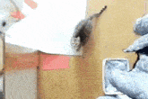 Cats Cats-jumping GIF - Cats Cats-jumping Leaping GIFs