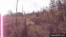 a field of tall grass and trees with a makeagif.com link