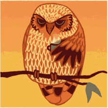 Coffee Owl GIF - Coffee Owl GIFs