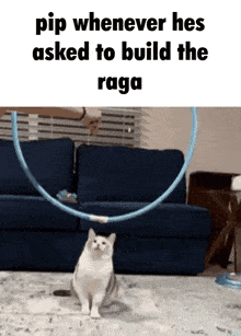 a cat playing with a hula hoop in front of a couch