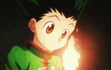 gon freecss playing fire happy smile