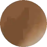 a pixel art drawing of a brown circle with a white background