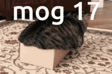 Mog Mog17 GIF - Mog Mog17 Gog GIFs
