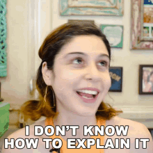 I Dont Know How To Explain It Scherezade Shroff GIF - I Dont Know How To Explain It Scherezade Shroff Flabbergasted GIFs