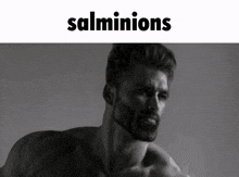 Salmon Lordette Salmonlordette GIF - Salmon Lordette Salmonlordette Salminions GIFs