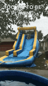 a dog is going down an inflatable water slide with the words too big to be playing below it