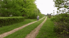 a woman rides a bike down a dirt road