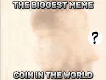 Biggest Meme Coin World Dont Fade Memecoin GIF - Biggest Meme Coin World Dont Fade Memecoin Solana Coin GIFs