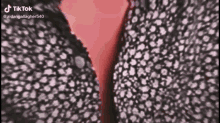 Aidan Hot GIF - Aidan Hot Shirt GIFs