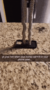 a phone case that has a spider on it