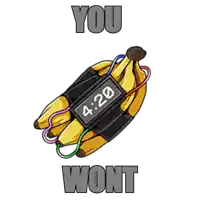 a bunch of bananas with 4:20 on it and the words you wont below it