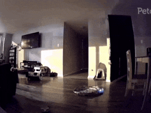 a living room with the word pets on the bottom