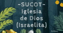 Sucot Idi GIF - Sucot Idi Iglesia De Dios Israelita GIFs
