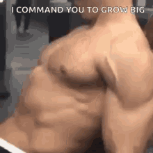 a man without a shirt is flexing his muscles in a gym .