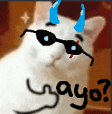 a drawing of a white cat wearing sunglasses with the word ayo written below it
